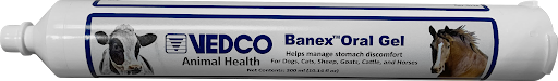 Vedco Banex Oral Gel : 300ml