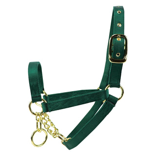 Cow Control Halter : Green