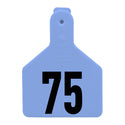 Z Tag Blue No Snag Calf ID Tag - Numbered 51 - 75 : Pack of 25