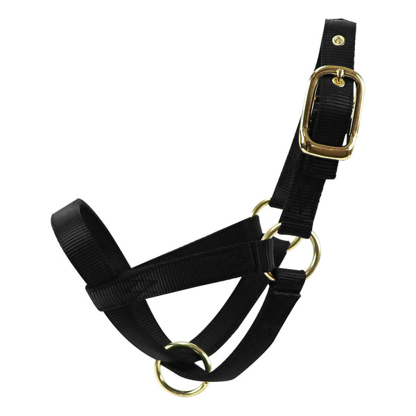 Turn Out Halter : Calf Black