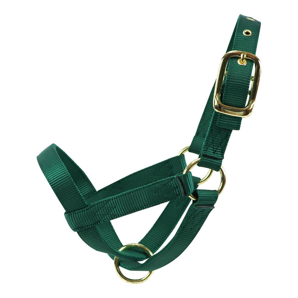 Turn Out Halter : Calf Green