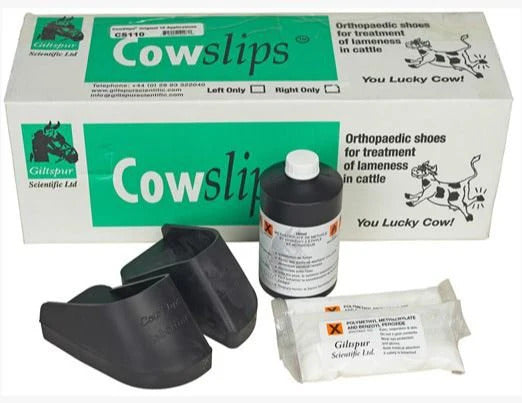 Cowslips Plus Kit Right : 10ct