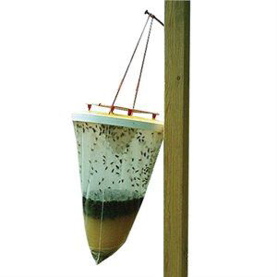 Flies be Gone Non Toxic Fly Trap