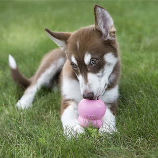 Kong Puppy Easy Treat Paste : 8oz