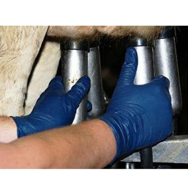 Milker Helpers Powder Free Blue Gloves: Medium 100ct