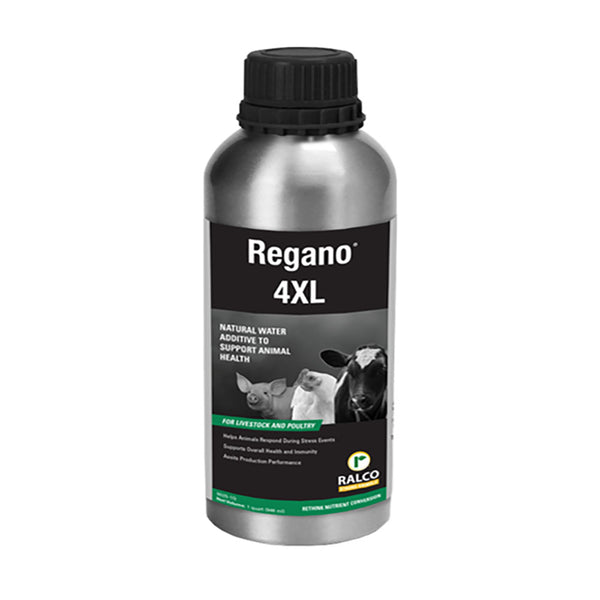 Regano 4XL ; qt