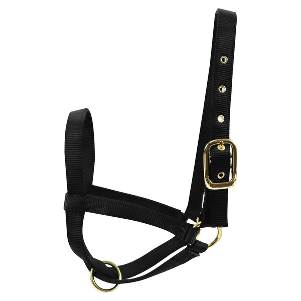 Turn Out Halter : Bull Black