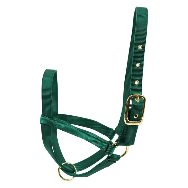 Turn Out Halter : Bull Green