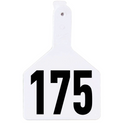 Z Tag White No Snag Cow ID Tag - Numbered 151 - 175: Pack of 25