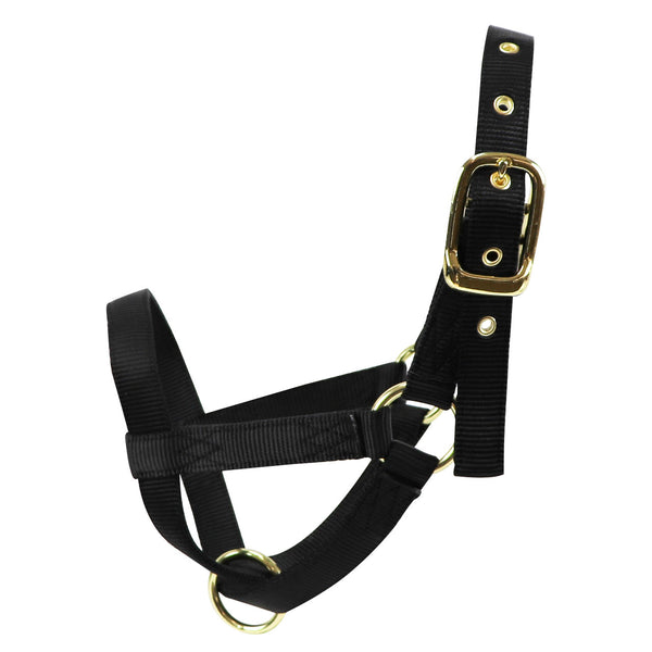 Turn Out Halter : Yearling Black