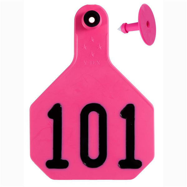 Y-Tex Pink All American 4 Star Tags Large Numbered 101-125: Pack of 25