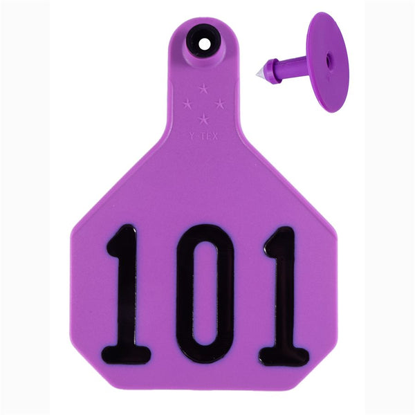 Y-Tex Purple All American 4 Star Tags Large Numbered 101-125: Pack of 25