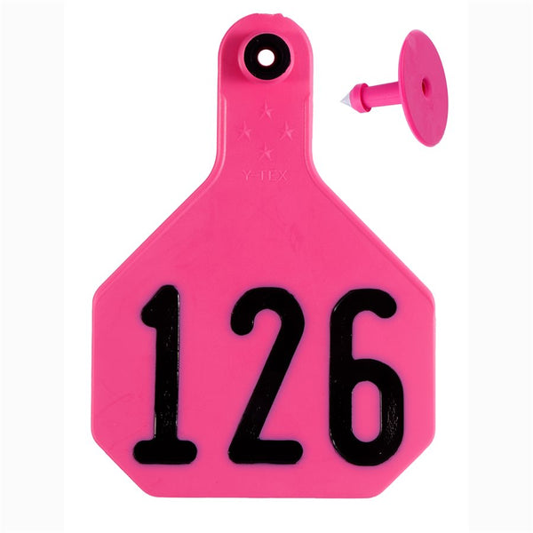 Y-Tex Pink All American 4 Star Tags Large Numbered 126-150: Pack of 25