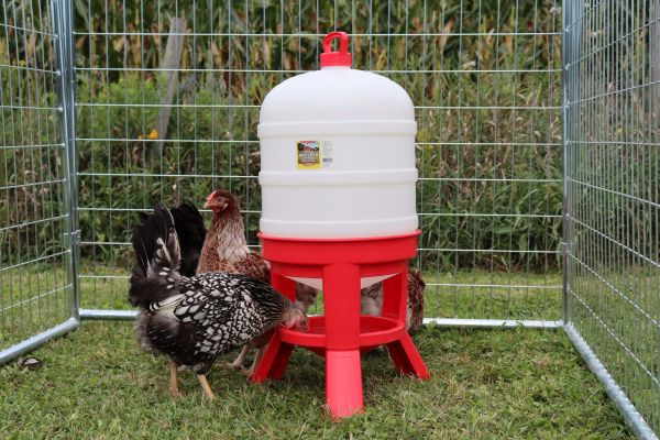 Poultry Dome Waterer with Legs : 10gal